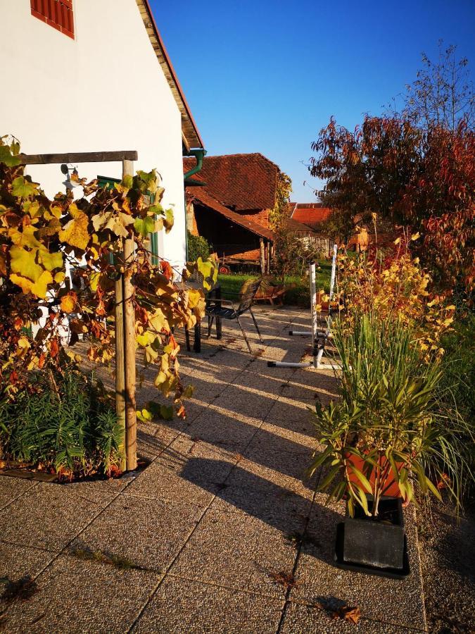 Ferienwohnungen Und Appartements Im Idyllischen Vierkanthof, Gruppenurlaube Loipersdorf bei Fuerstenfeld Exterior photo